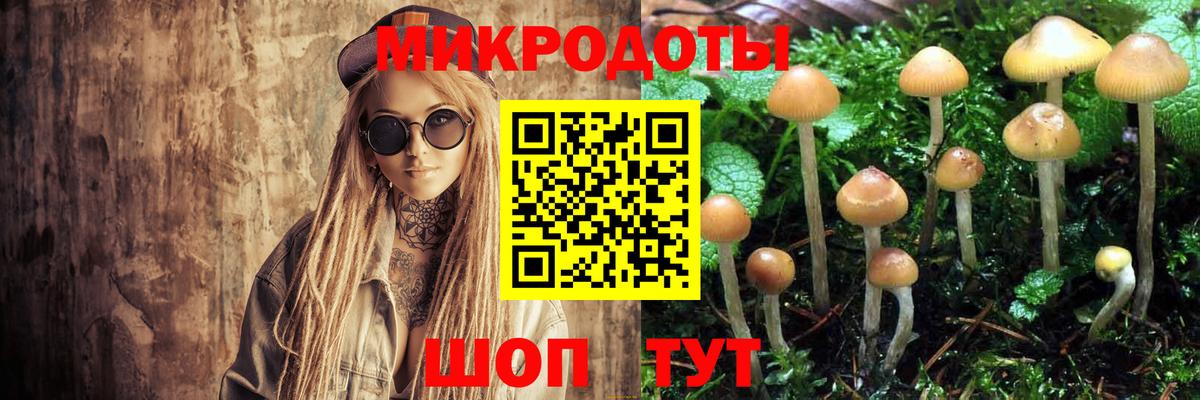 дарнет шоп  Псилоцибиновые грибы Magic Shrooms  Вход с VPN  Чапаевск 