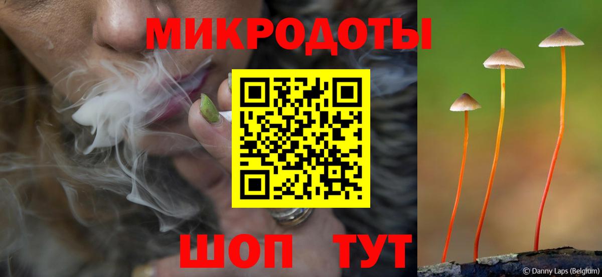 Псилоцибиновые грибы GOLDEN TEACHER Чапаевск